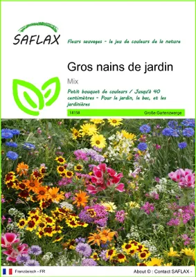 Image de SAFLAX  - Gros nains de jardin - 1000 graines - Mix