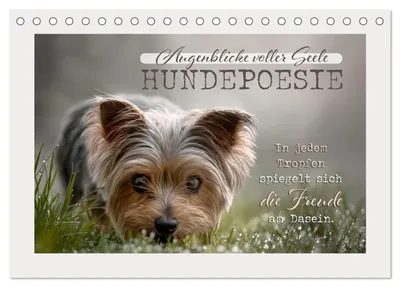 Produktbild von Hundepoesie - Augenblicke voller Seele (Tischkalender 2027 DIN A5 quer), CALVENDO Monatskalender