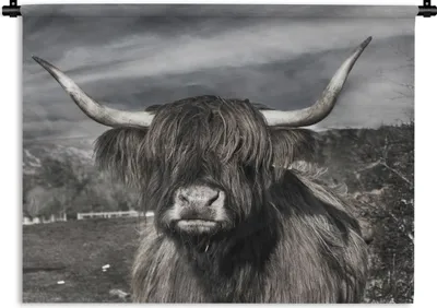 Produktbild von MuchoWow® Wandteppich Wandbehang Schottischer Highlander - Tiere - Hörner 120x90 cm Tapisserie Dekoration Wandtuch - Wohnen - Aufhänger für die Wand