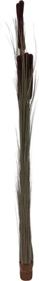 Immagine prodotto di EUROPALMS Erba di canne con pannocchie, artificiale, marrone scuro, 152 cm (82505857)