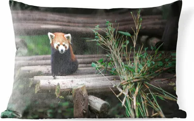 Produktbild von MuchoWow® Outdoor Kissen - Roter Panda - Bambus - Baumstämme - 50x30 cm - Wetterfest - Lounge Kissen - Sofa kissen - Wohnzimmer Dekoration