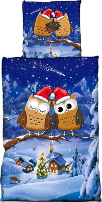 Produktbild von Winter Fleece Bettwäsche 135x200 Eulen Flausch Thermofleece Bettbezug Weinachten 2 tlg