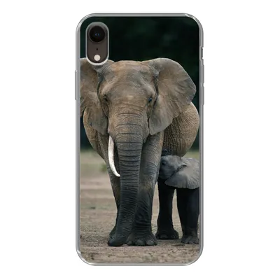 Produktbild von MuchoWow® Handyhülle Schutzhülle Hülle für iPhone XR Elefant - Tiere - Flachland - Natur Silikon Softcase Handy Hülle - Schutzdeckel