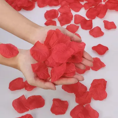 Produktbild von Rote Rosenblätter - Rosenblätter - 200 Blütenblätter - Künstliche Rosenblätter - Polyester - Weiche Blütenblätter - Romantik - Bettdekoration - Vorschlag - 4CM - CHPN