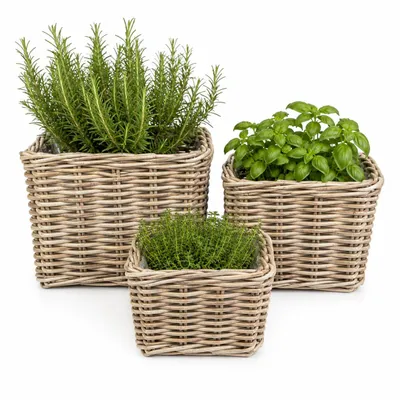 Zdjęcie produktu dla Rattanowy kosz na kwiaty zestaw 3 szt. naturalny – osłonka / doniczka z folią okrągła FLORA | Solani Home