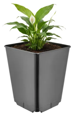 Produktbild von Garronda Hoher quadratischer Kunststoff-Blumentopf mit Drainagelöchern für Garten, Schwarz, 16 x 16 x 20 cm, 3,5 L GD-KW-HS