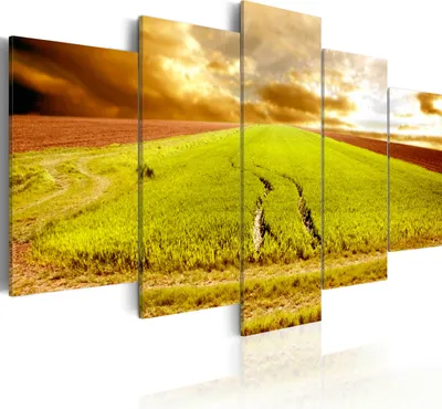 Produktbild von Leinwandbilder Landwirtschaft 200x100 cm Vlies Leinwandbild 5 tlg Kunstdruck modern Wandbilder XXL Wanddekoration Design Wand Bild - Felder Nature Getriede 030212-53