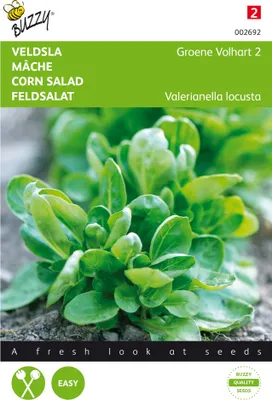 Artikelbild 1 von 'Feldsalat Volhart 2' aus der Kategorie Feldsalatsamen