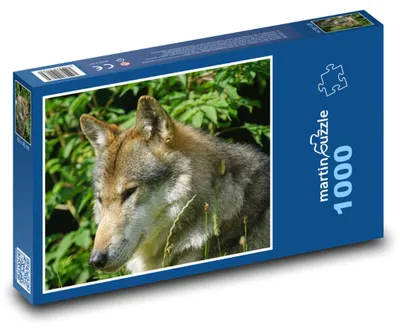 Obrázok produktu pre Puzzle 1000 Vlk v divokej prírode - martinpuzzle