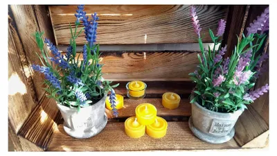 Produktbild von Teelichter aus 100% reinem Bienenwachs, 50 Stück
