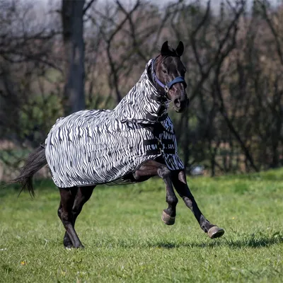 Immagine prodotto di BUSSE Tappeto a mosca per esterni Comfort Pro Zebra 135