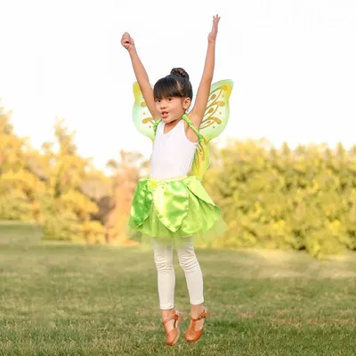 Produktbild von Tinkerbell Rock und Flügel, für 4-6 Jahre - Faschingsrock
