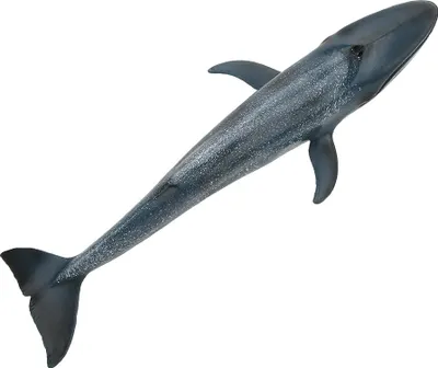 Produktbild von Fisch-Modell, Heimdekoration, pädagogisches Kind, niedliche Simulation, Miniatur-Tierspielzeug