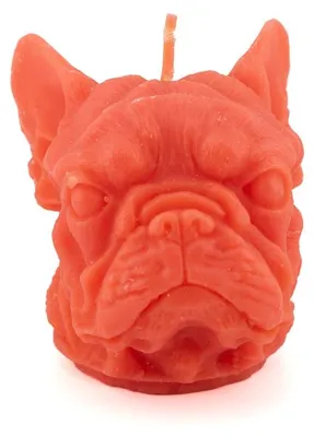 Obrázok produktu pre HomeBound, sviečka, buldog, oranžová