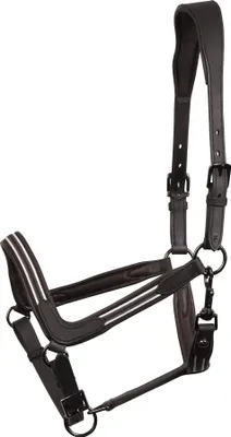 Produktbild von Harrys Horse Leder Halfter Flash black, Größe:Cob