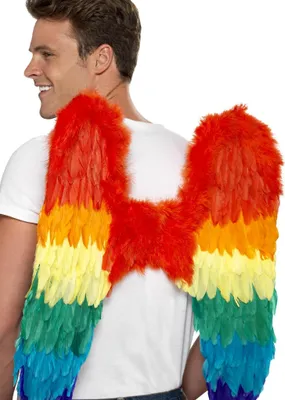 Produktbild von Regenbogen Federflügel - Kostümflügel für Fasching