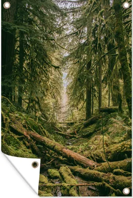 Produktbild von MuchoWow® 80x120 cm Outdoor-Poster Gartendeko Sichtschutz Garten Poster für den Garten  Wald - Bäume - Grün