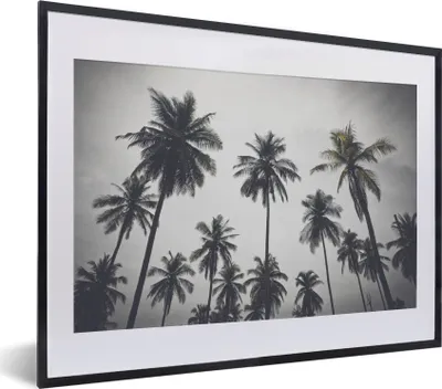 Produktbild von MuchoWow® Gerahmtes Poster Palme - Tropisch - Natur 40x30 cm - Poster mit Schwarzem Bilderrahmen Wandposter Rahmen Foto Bilder - Bilderrahmen - Poster im Rahmen