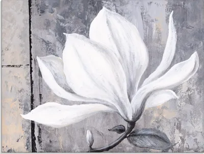 Produktbild von ARTland Glasbild Klassische Magnolie Größe: 60x45 cm