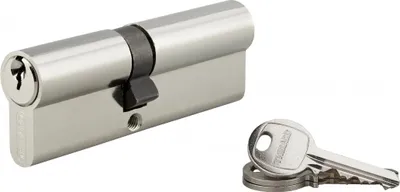 Image de Cylindre de serrure double entrée SA, 40 x 50 mm, anti-arrachement, nickel, 3 clés - 1 pièce - THIRARD - 00016398