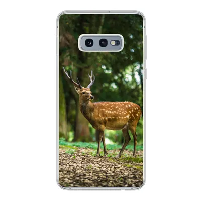 Produktbild von MuchoWow® Handyhülle Schutzhülle Hülle für Samsung Galaxy S10e Rotwild - Wald - Tier Silikon Softcase Handy Hülle - Handy