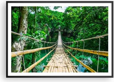 Produktbild von Gerahmtes Poster - Schwarzer Rahmen - Gehweg Baum Holz Steg - 100x70 cm - Wand Bild - Wanddeko - Wandbilder - Wandposter - Bilderrahmen - Bilder - Kunstdruck - Wandbild - P2BAA100x70-3185