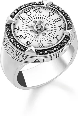 Produktbild von Thomas Sabo TR2330-643-18 Ring, Ringgröße:56