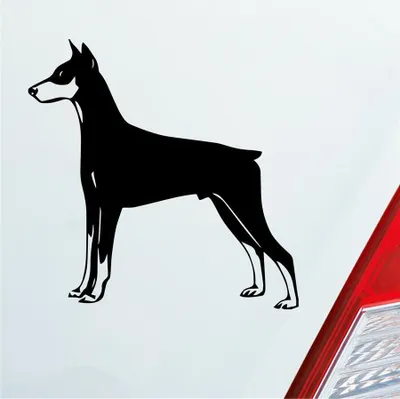 Produktbild von Auto Aufkleber Dobermann Hund Dog Animal Tier 10x10 cm Schwarz Glanz Sticker Heckscheibenaufkleber