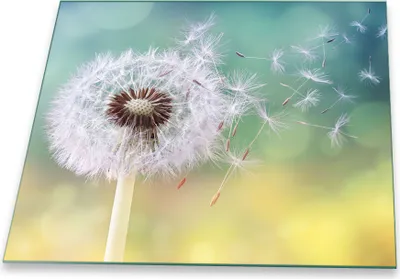 Immagine prodotto di Piastra di copertura del piano cottura Piastra di copertura del piano cottura in ceramica 1 pezzo 60x52 Vetro Dandelion