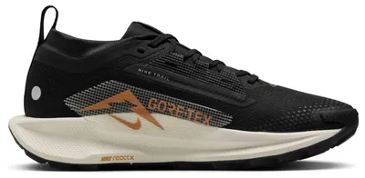 Produktbild von Laufschuhe Nike Nike Pegasus Trail 5 GORE-TEX für Herren