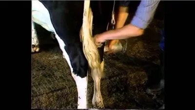 Immagine prodotto di Zoccolo a manovella allentato HBB05