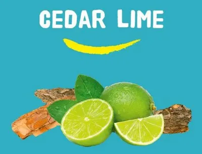 Produktbild von Happy Earth 100% Natural Douchegel - Cedar Lime 300 ml