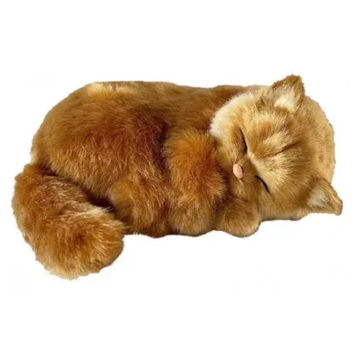 Produktbild von Perfect Petzzz 92639 Angora-Kätzchen