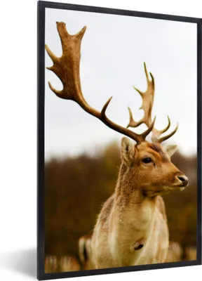 Produktbild von MuchoWow® Gerahmtes Poster Damhirsch - Wald - Herde - Tiere - Natur 40x60 cm - Poster mit Schwarzem Bilderrahmen Wandposter Rahmen Foto Bilder - Papierdruck - Wandbilder