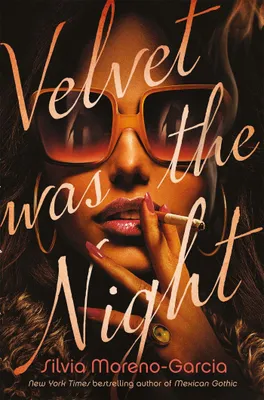 Produktbild von Velvet was the Night