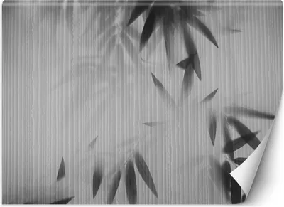 Produktbild von Vlies fototapete Blätter im Nebel abstrakt 250x175 cm Feeby Grau inkl. Kleber einfache Montage