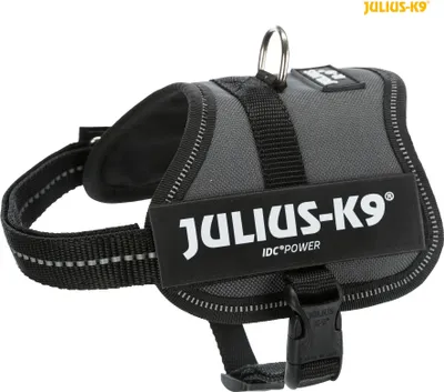 Image de Julius-K9® Harnais de puissance® Bébé 1–Mini 33–45 cm/18 mm anthracite