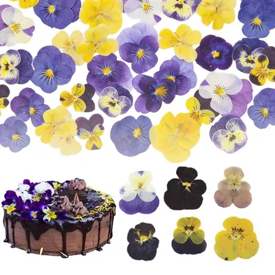30er-Set getrocknete essbare Blumen, 6 Sorten, für Torten & DIY