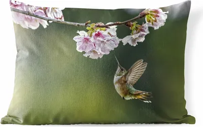 Produktbild von MuchoWow® Outdoor Kissen - Vogel - Blüte - Kolibri - 50x30 cm - Wetterfest - Lounge Kissen - Sofa kissen - Wohnzimmer Dekoration