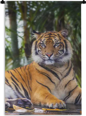 Produktbild von MuchoWow® Wandteppich Wandbehang Tiger - Tiere - Wald - Dschungel 90x135 cm Tapisserie Dekoration Wandtuch - Baumwolle - Wandskulptur