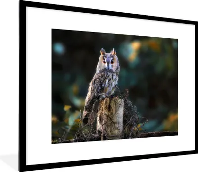 Produktbild von MuchoWow® Gerahmtes Poster Eule - Herbst - Vogel - Äste 80x60 cm - Poster mit Schwarzem Bilderrahmen Wandposter Rahmen Foto Bilder - Schlafzimmer-Dekorationen - Fotoposter