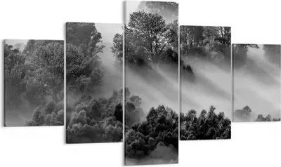 Produktbild von Bild auf Leinwand - Leinwandbild - 5 Teile - Schwarzweiß Bäume Nebel - 125x70cm - Wand Bild - Wanddeko - Wandbilder - Leinwanddruck - Bilder - Wanddekoration - Leinwand bilder - EA125x70-4510