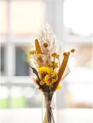 Produktbild von Briefkastenpaket  Trockenblumen 36 x 3 cm