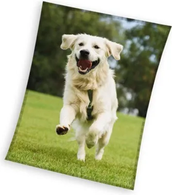 Produktbild von Hund Happytail Retriever Polar Decke 150x200cm