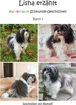 Produktbild von Lisha erzählt