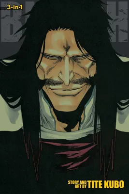 Produktbild von Bleach (3-in-1 Edition), Vol. 19