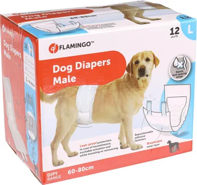 Produktbild von Flamingo Windeln Dipy für Rüden, Größe: L