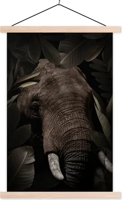Produktbild von MuchoWow® Textilposter Elefant - Dschungel - Pflanzen 60x90 cm mit holzfarbenen Rahmen - Textil