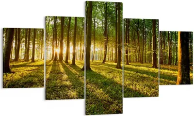 Produktbild von Bild auf Leinwand - Leinwandbild - Wald grün Sonnenstrahlen Natur - 125x70cm - Wand Bild - Wanddeko - Leinwanddruck - Bilder - Kunstdruck - Wanddekoration - Leinwand bilder - Wandkunst - EA125x70-2510