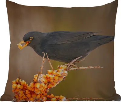 Produktbild von MuchoWow® Outdoor Kissen - Vogel - Amsel - Winter - Eis - Beere - 60x60 cm - Wetterfest - Lounge Kissen - Dekoration - Schlaf Kissen